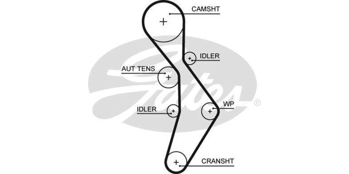 Timing Belt Audi A3 A4 S3 Tt Vw Eos Golf 5 6 Jetta Passat Scirocc